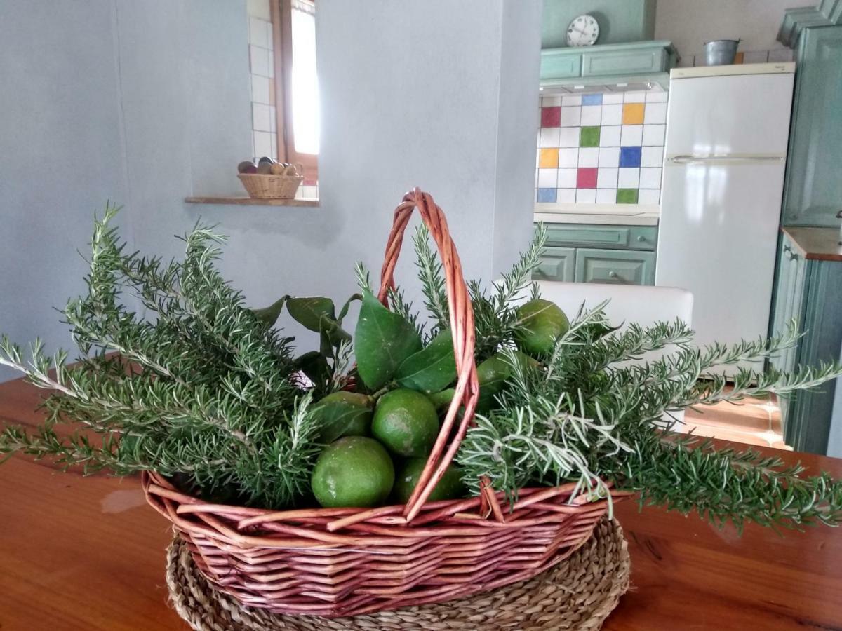 Caseta Rovira Deltebre Bagian luar foto